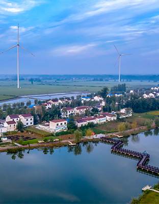 9888˹ά˹(ɷ)޹˾-ٷվ