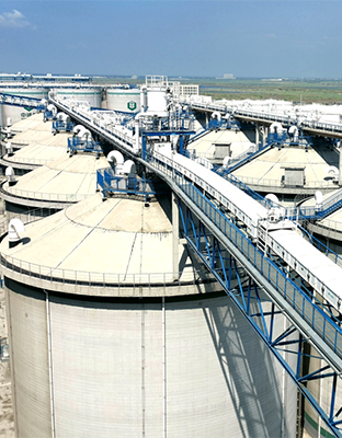 9888˹ά˹(ɷ)޹˾-ٷվ